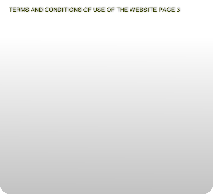 TERMS AND CONDITIONS OF USE OF THE WEBSITE PAGE 3